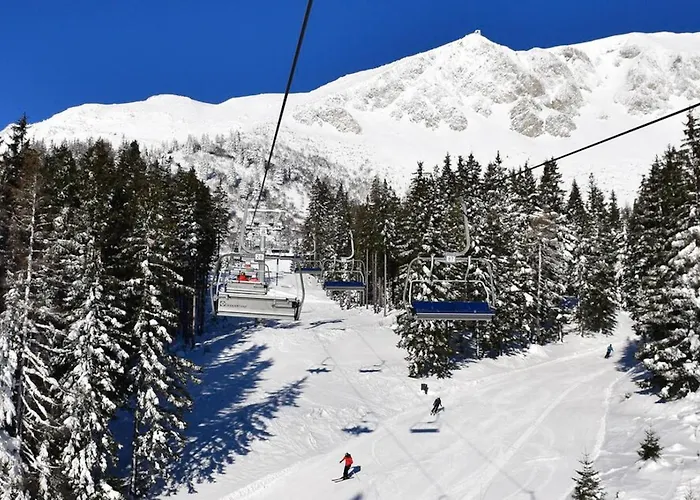 Brunnalm Blick Appartement Veitsch