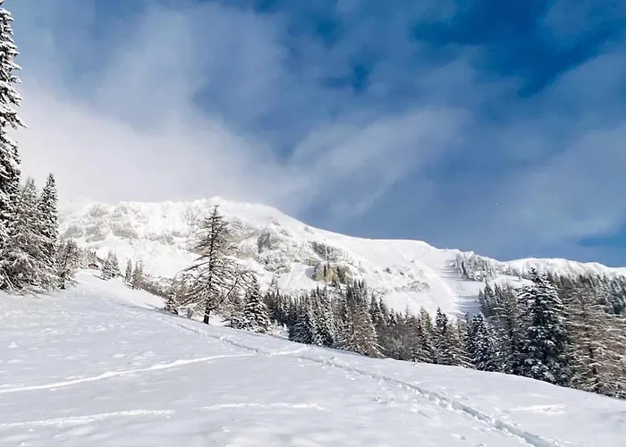 Appartement Brunnalm Blick *